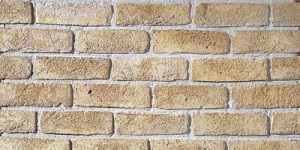 Sydney Bricklayers | Thrown Bricks